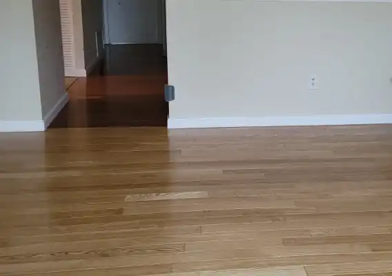 Floor Cleaning